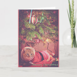 Cartes Pour Fêtes Annuelles Noël de Meowy