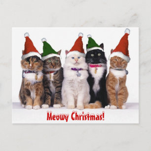 Cartes Pour Fêtes Annuelles "Noël de Meowy !" Chats