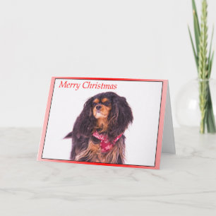 Cartes Pour Fêtes Annuelles Noel de Noël du roi Charles d'Espagne