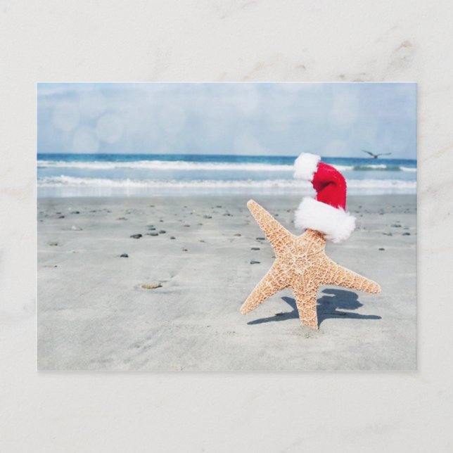 Cartes Pour Fêtes Annuelles Noël de plage d'étoiles de mer (Devant)