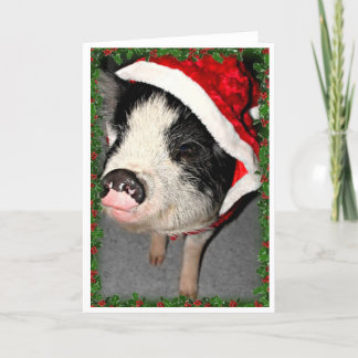 Cartes Pour Fêtes Annuelles Noël de porc de ventre de pot