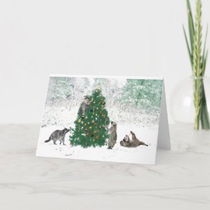 Cartes Pour Fêtes Annuelles Noël de raton laveur