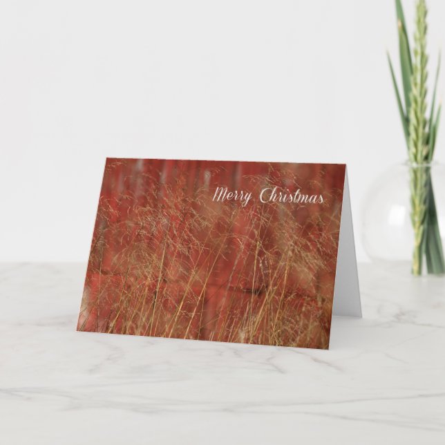 Cartes Pour Fêtes Annuelles Noël de RedBarn (Devant)