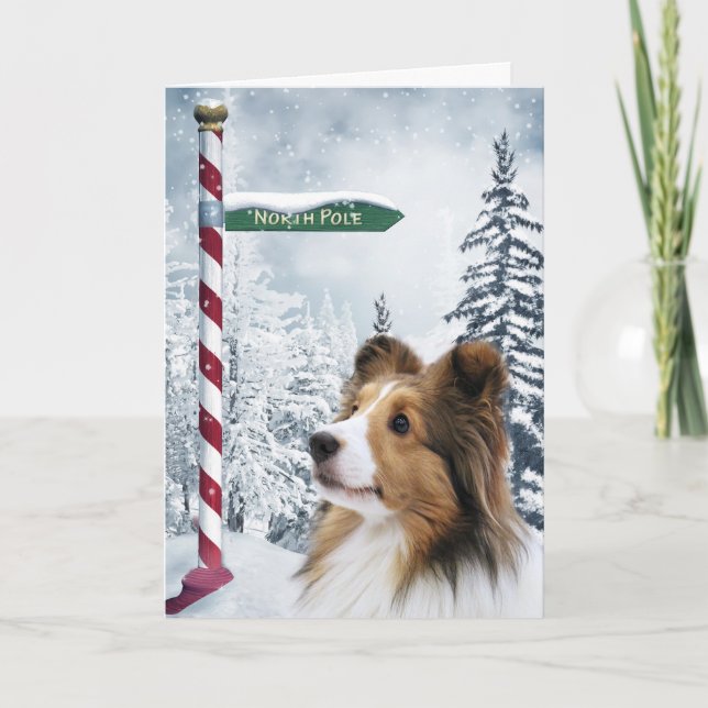 Cartes Pour Fêtes Annuelles Noël de Sheltie (Devant)