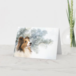 Cartes Pour Fêtes Annuelles Noël de Sheltie de sable