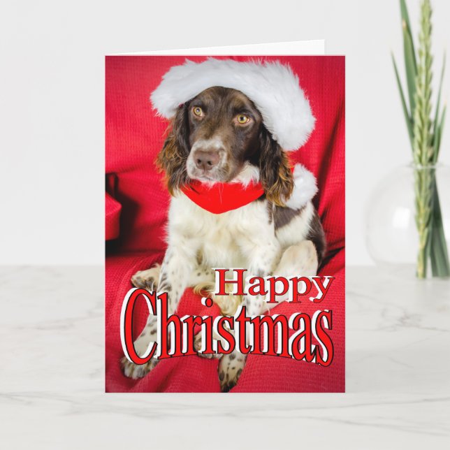 Cartes Pour Fêtes Annuelles Noël de Springer (Devant)