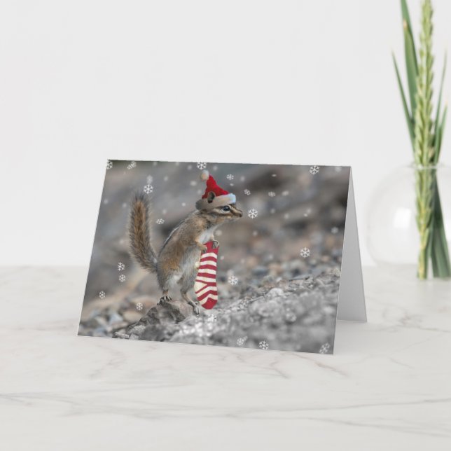 Cartes Pour Fêtes Annuelles Noël de tamia (Devant)