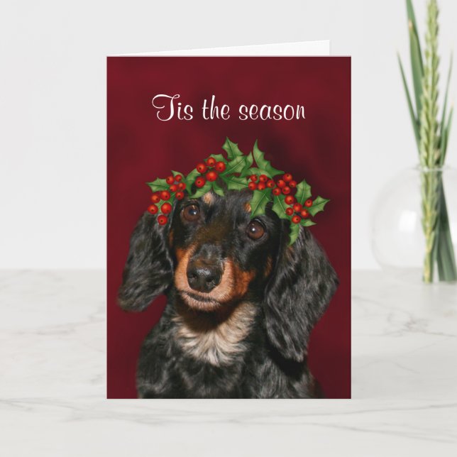 Cartes Pour Fêtes Annuelles Noël de teckel (Devant)
