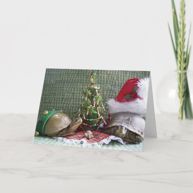 Cartes Pour Fêtes Annuelles Noël de tortue (Devant)