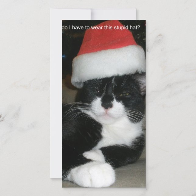 Cartes Pour Fêtes Annuelles Noël de Tuxedo (Devant)