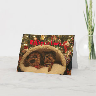 Cartes Pour Fêtes Annuelles Noël de Yorkie