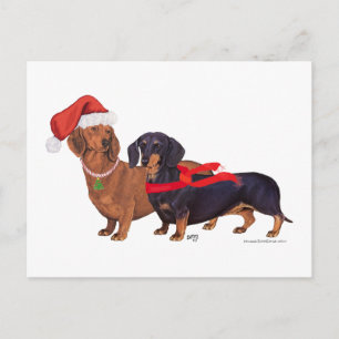 Cartes Pour Fêtes Annuelles Noël des Dachshunds