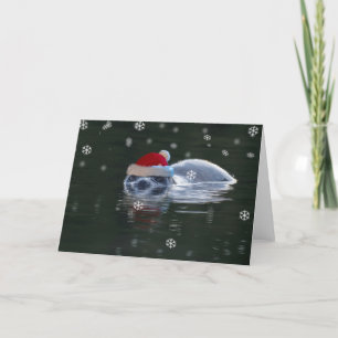 Cartes Pour Fêtes Annuelles Noël des phoques