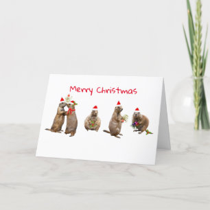 Cartes Pour Fêtes Annuelles Noël des Prairies