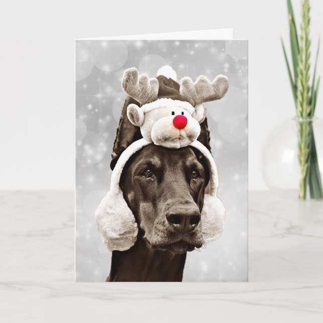Cartes Pour Fêtes Annuelles Noël d'hiver de dobermann Joyeux (Devant)