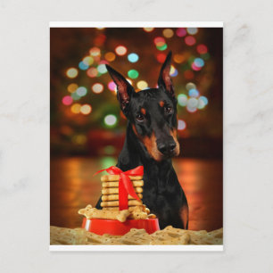 Cartes Pour Fêtes Annuelles Noël Doberman