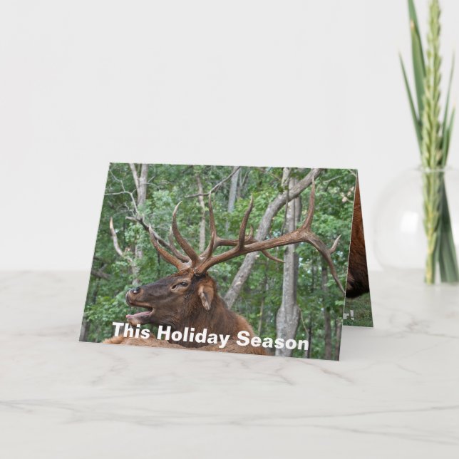 Cartes Pour Fêtes Annuelles Noël drôle d'élans de Taureau (Devant)