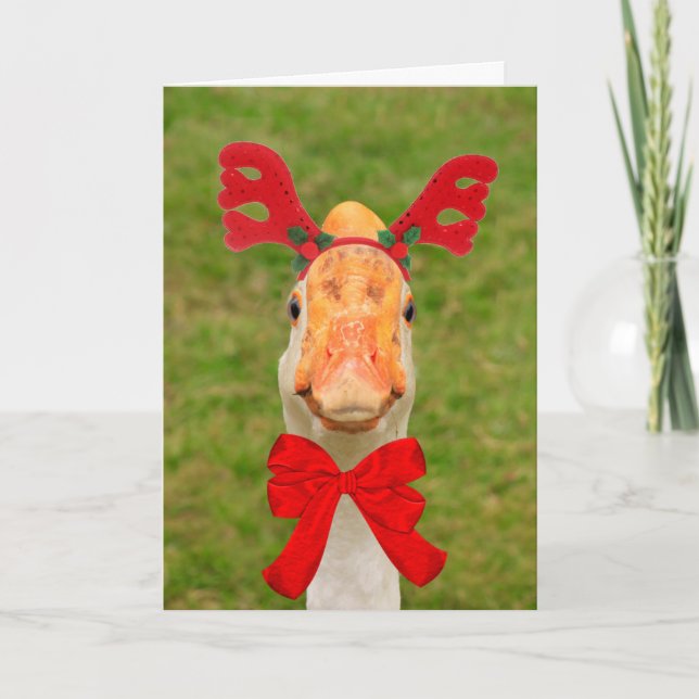 Cartes Pour Fêtes Annuelles Noël drôle d'oie (Devant)