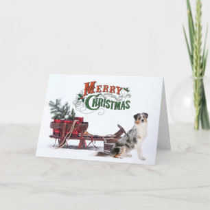 Cartes Pour Fêtes Annuelles Noël du berger australien