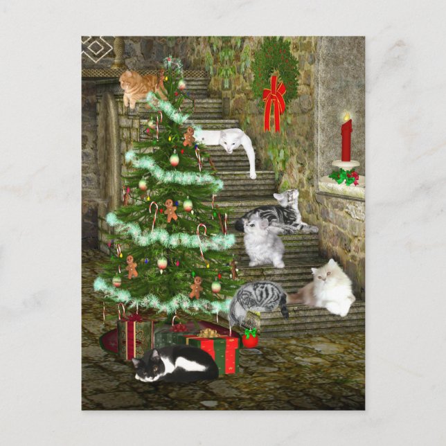 Cartes Pour Fêtes Annuelles Noël du chat (Devant)