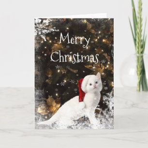 Cartes Pour Fêtes Annuelles Noël du chat chaton blanc