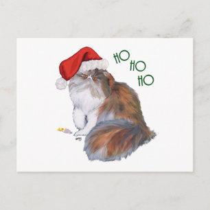 Cartes Pour Fêtes Annuelles Noël du chat de Calico Persian