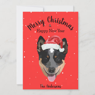 Cartes Pour Fêtes Annuelles Noël du chien de bétail australien