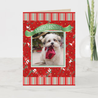 Cartes Pour Fêtes Annuelles Noël du chien personnalisé mignon