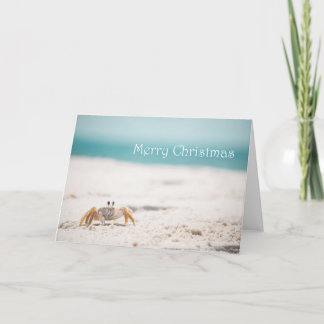 Cartes Pour Fêtes Annuelles Noël du crabe de sable