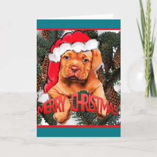 Cartes Pour Fêtes Annuelles Noël du Dogue de Bordeaux