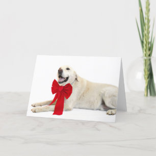 Cartes Pour Fêtes Annuelles Noël du laboratoire jaune