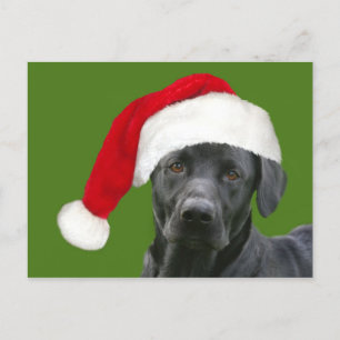 Cartes Pour Fêtes Annuelles Noël du laboratoire noir