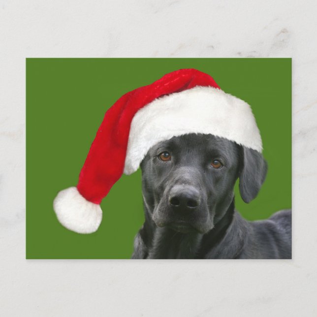 Cartes Pour Fêtes Annuelles Noël du laboratoire noir (Devant)