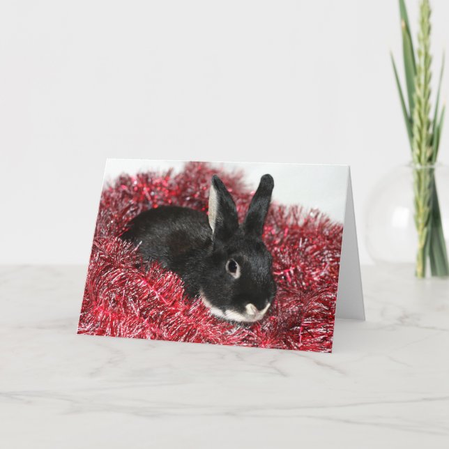 Cartes Pour Fêtes Annuelles Noël du lapin (Devant)