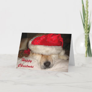 Cartes Pour Fêtes Annuelles Noël endormi d'akita de chien de père Noël de