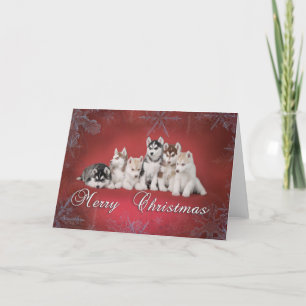 Cartes Pour Fêtes Annuelles Noël enroué