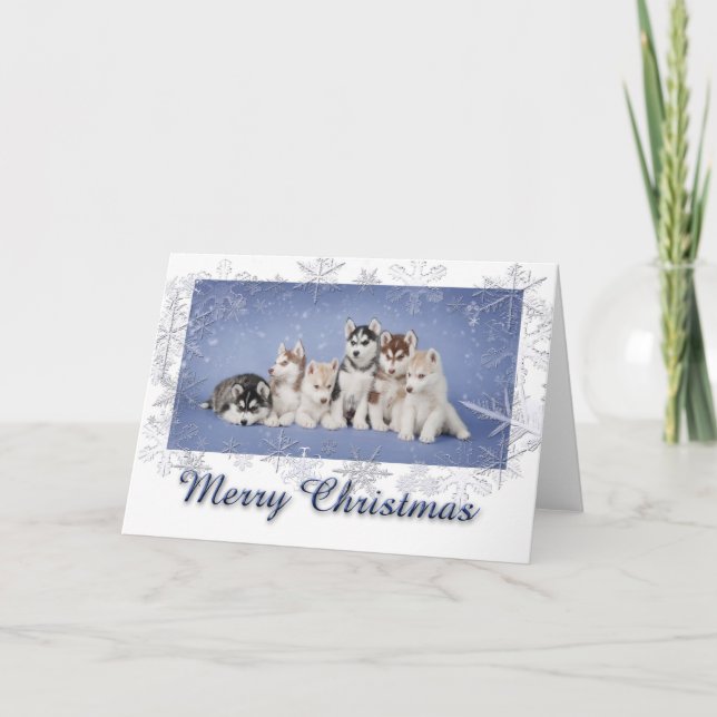 Cartes Pour Fêtes Annuelles Noël enroué (Devant)