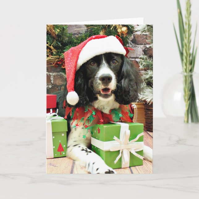 Cartes Pour Fêtes Annuelles Noël - épagneul de springer anglais - Lucy (Devant)
