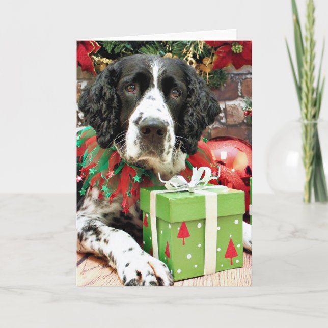 Cartes Pour Fêtes Annuelles Noël - épagneul de springer anglais - prise de bec (Devant)