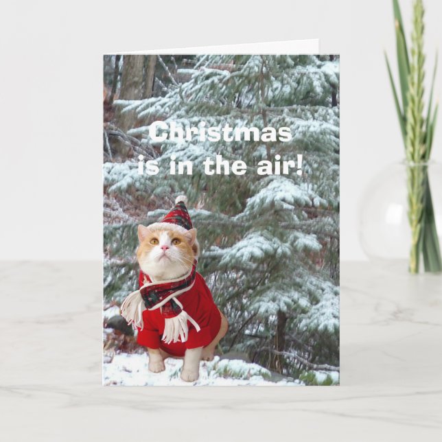 Cartes Pour Fêtes Annuelles Noël est en l'air ! (Devant)