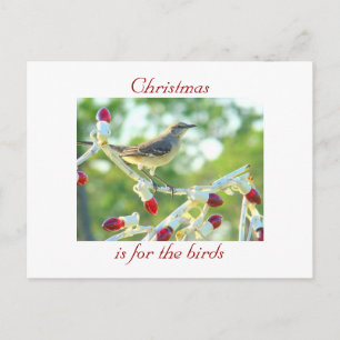 Cartes Pour Fêtes Annuelles Noël est pour les oiseaux