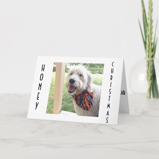 CARTES POUR FÊTES ANNUELLES NOËL EST SPÉCIAL / TOUTE L'ANNÉE NOËL DOGGIE (Devant)