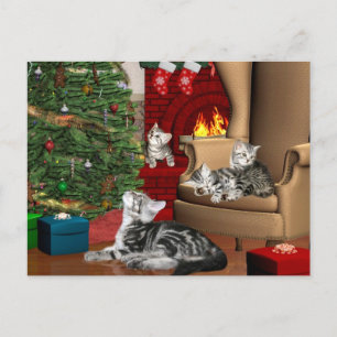 Cartes Pour Fêtes Annuelles Noël familial Tabby