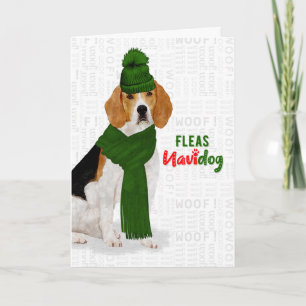 Cartes Pour Fêtes Annuelles Noël Festif Beagle Chien Fleas NaviDOG
