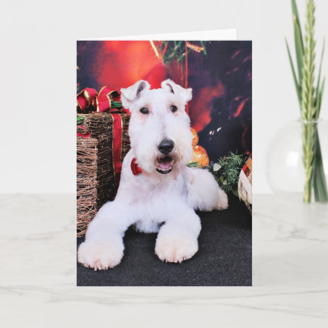 Cartes Pour Fêtes Annuelles Noël - Fox de fil Terrier - Dexter (Devant)