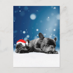 Cartes Pour Fêtes Annuelles Noël Français Chien de taule Chien Chien de Chien 
