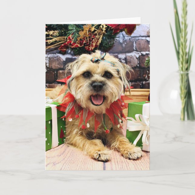 Cartes Pour Fêtes Annuelles Noël - Frontière Terrier - Reagan (Devant)