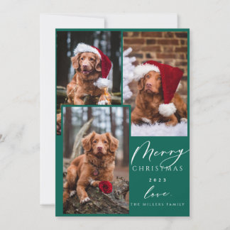 Cartes Pour Fêtes Annuelles Noël Funny Animaux Joyeux Noël 3 Photo Holida
