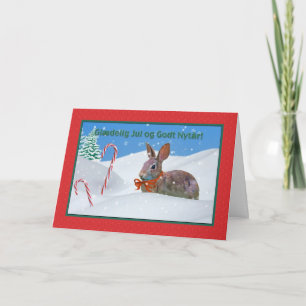 Cartes Pour Fêtes Annuelles Noël, Glædelig juillet, le danois, lapin, neige