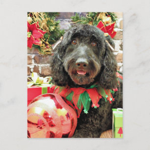 Cartes Pour Fêtes Annuelles Noël - Golden Doodle - Perle Jam